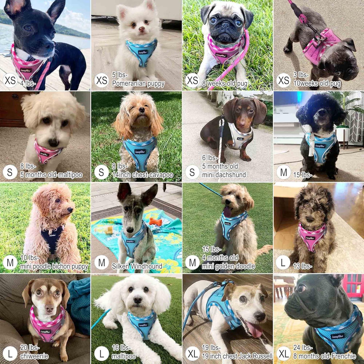 Arnés para Perro Haapaw S Beige Ajustable Reflectante