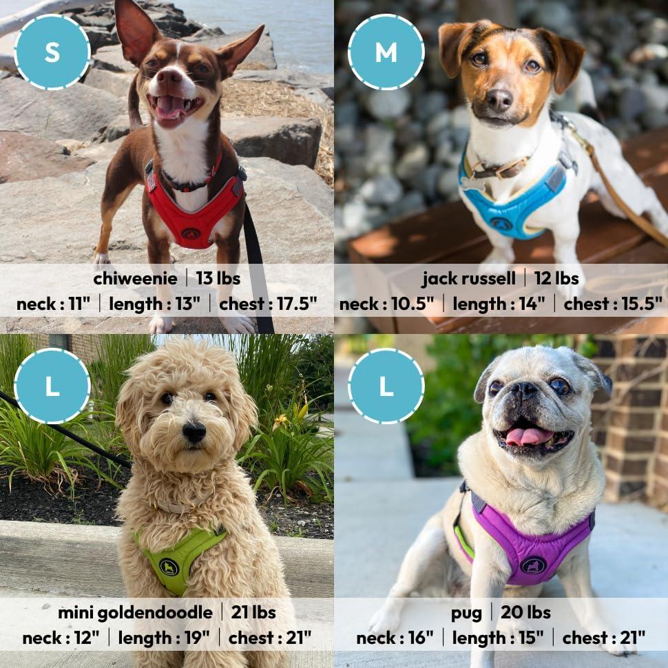 Arnés Gooby Escape Free Viscoelástico Rojo Pequeño 30-47 cm