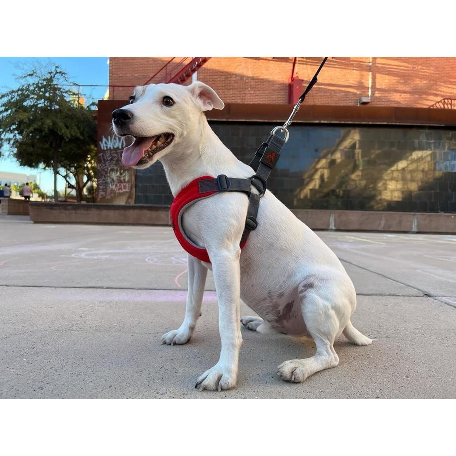 Arnés Gooby Escape Free Viscoelástico Rojo Pequeño 30-47 cm