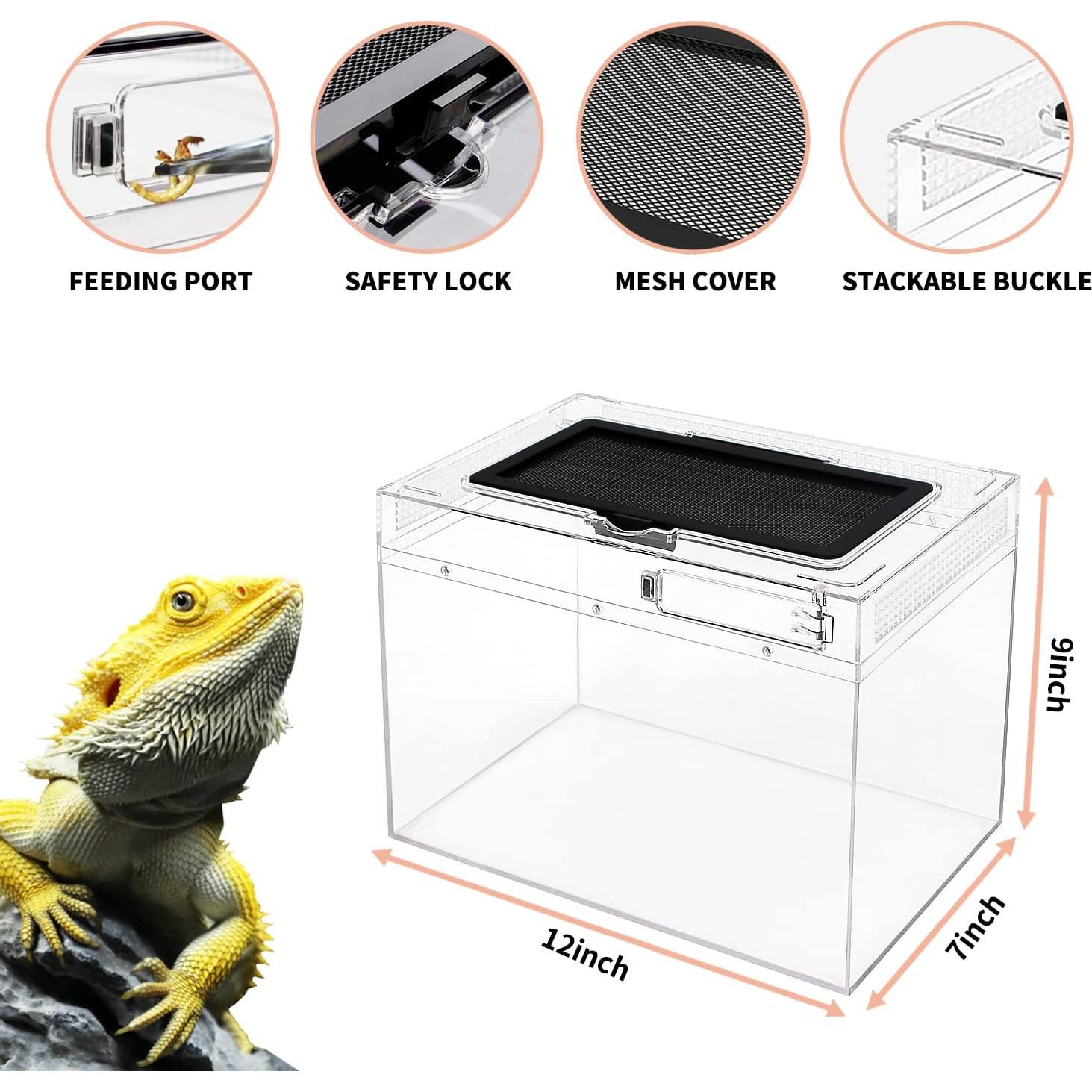 Terrario de Reptiles Crecimiento de Reptiles 30.48x17.78x22.86cm