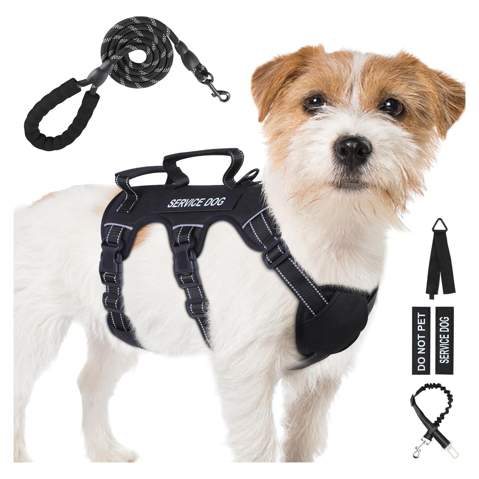 Arnés para Perros Pequeños y Medianos Yungaspy Negro Ajustable