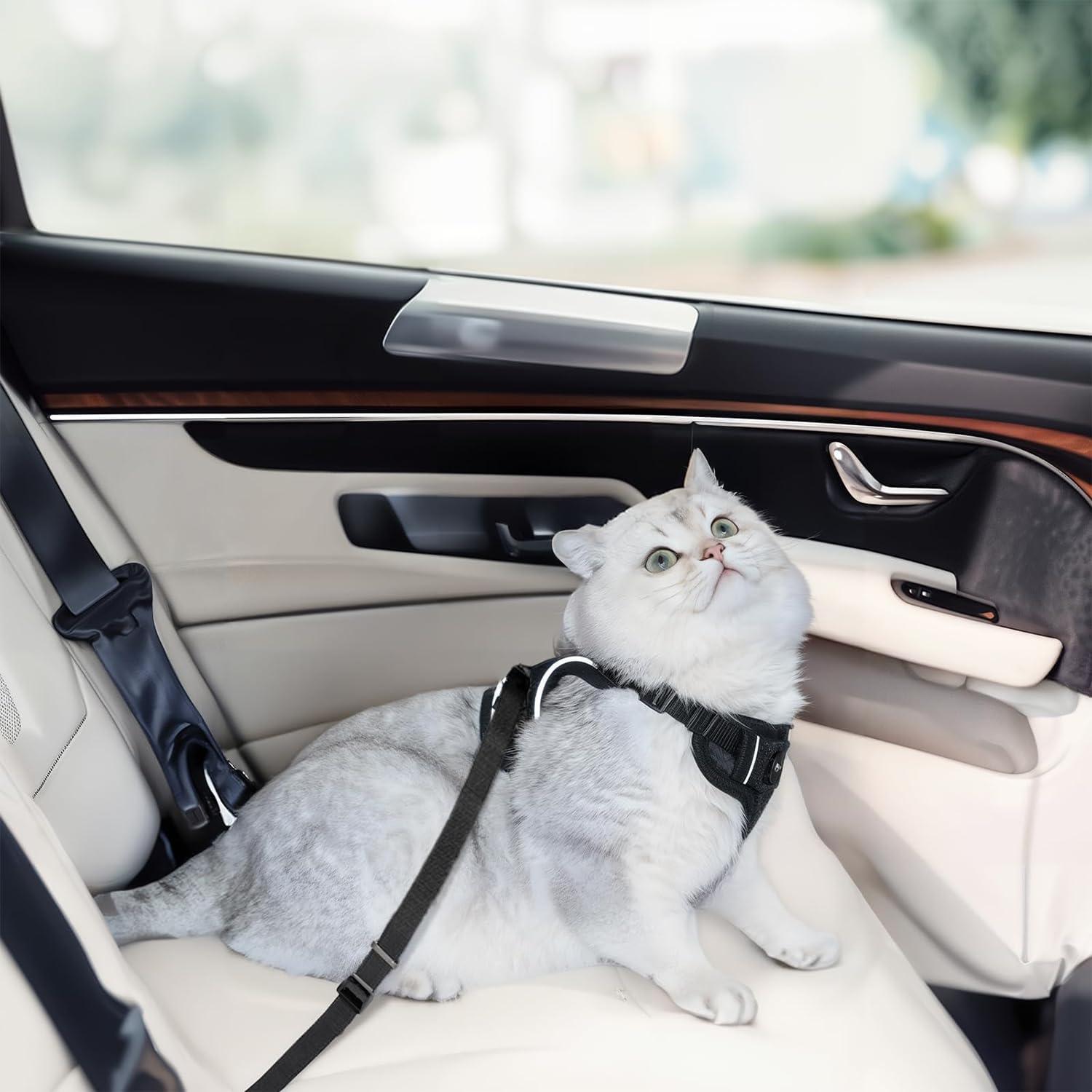 Arnés y Correa para Gatos MHHYQF Ajustable Negro S