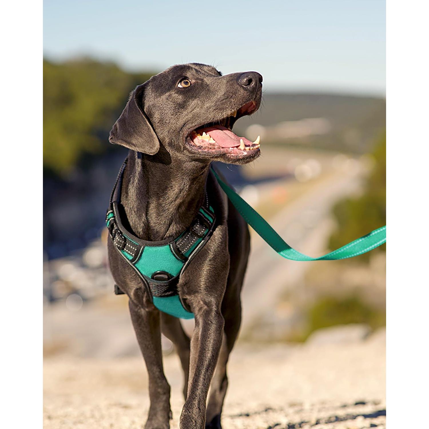 Arnés para Perros Joytale Mediano Acolchado Reflectante Verde