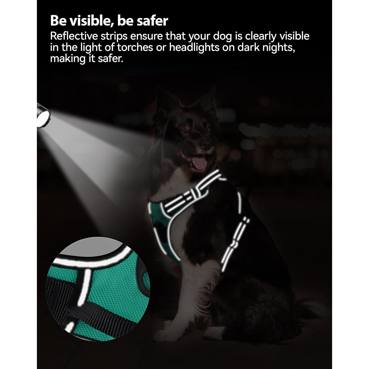 Arnés para Perros Joytale Mediano Acolchado Reflectante Verde