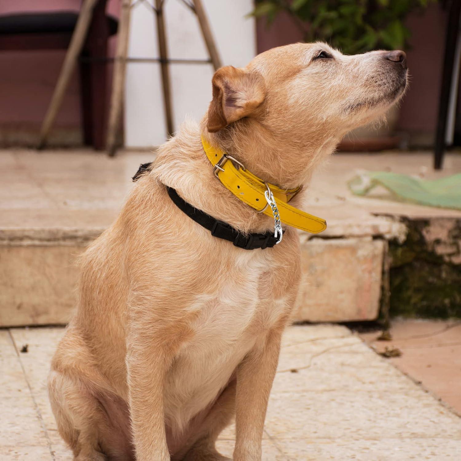 Clip de Seguridad para Collar de Perro JIPIMON - Acero Inoxidable, 2 Piezas