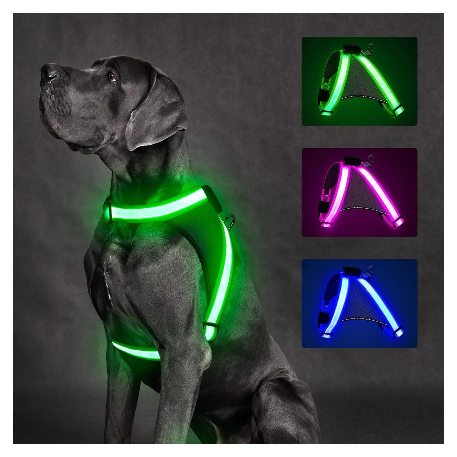 ChalkLit Light Up Dog Harness, No Pull Led Dog Harness Glow-in-The-Dark for Night Walking, USB Rechargeable Lighted Safety Vest for Medium Large Dogs, Adjustable Soft Mesh Fully Illuminated(Green, L)