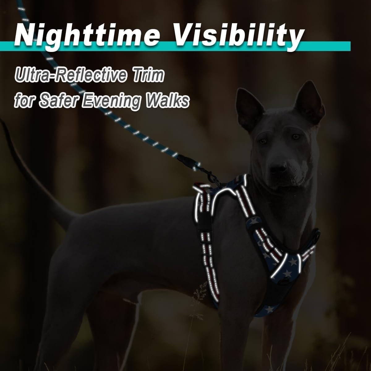 Arnés para Perros BARKBAY XL Sin Tirones Reflectante Ajustable