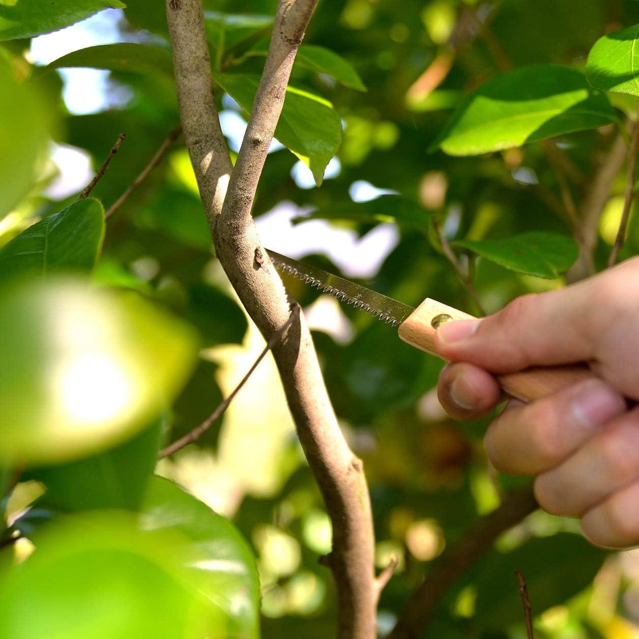 Sierra de Bonsai KAKURI 80mm Acero Carbono Japonés Profesional