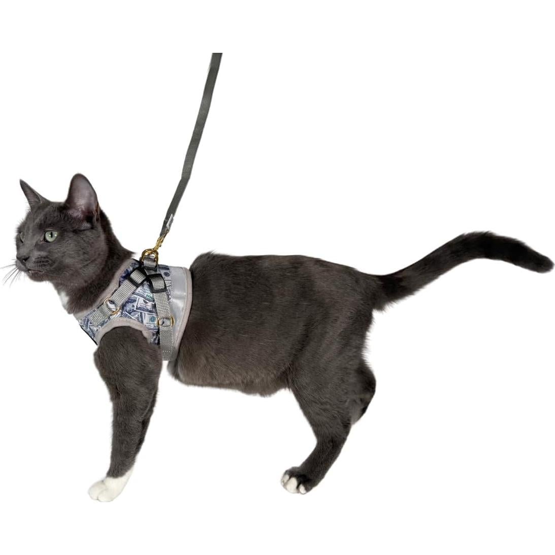 Arnés y Correa para Gato The Fat Cat - Malla Ajustable Mediano