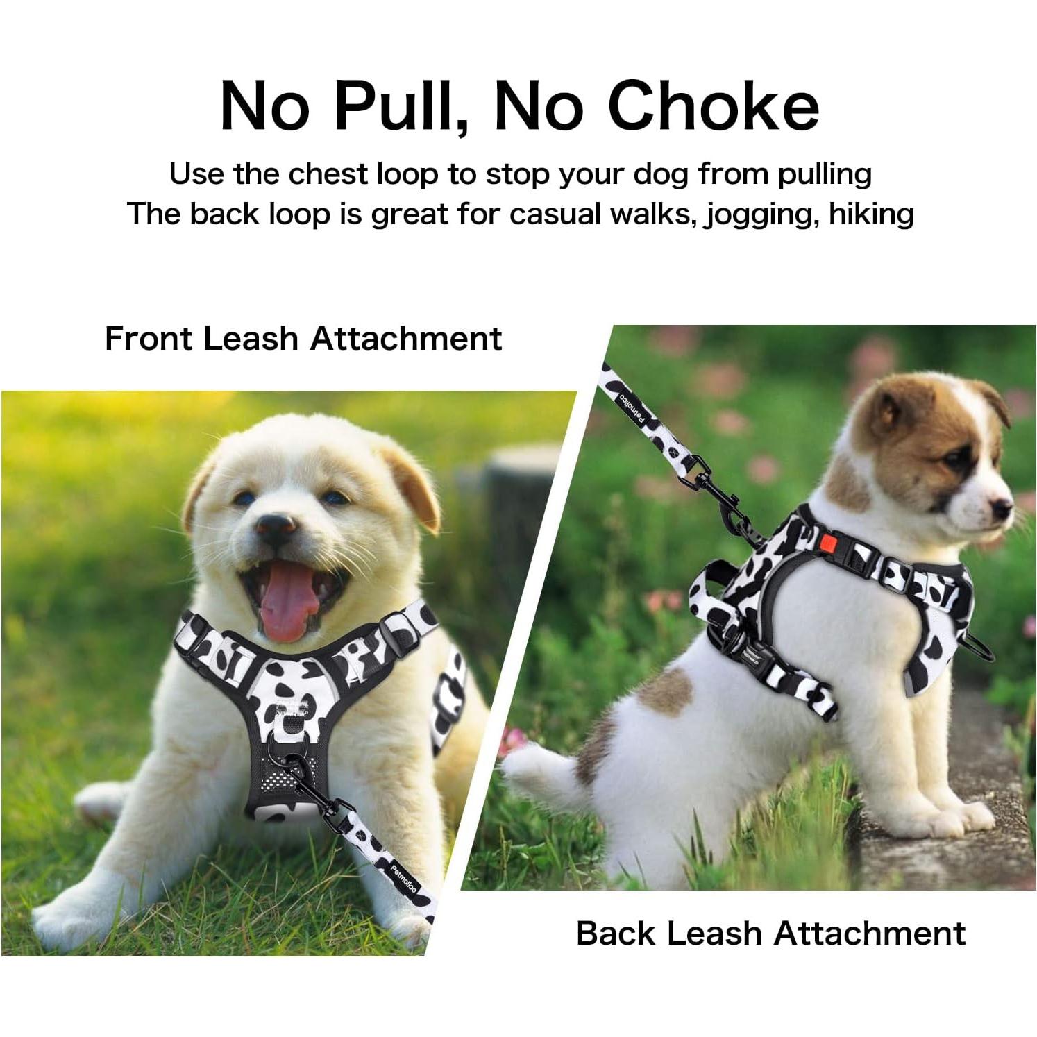 Arnés y Correa para Perros Grandes Petmolico, Sin Tirones, Reflectante