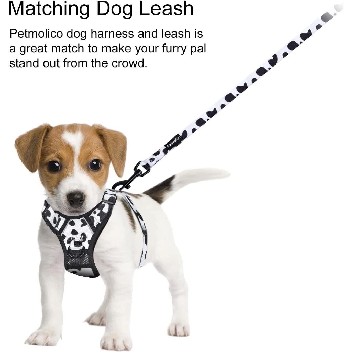 Arnés y Correa para Perros Grandes Petmolico, Sin Tirones, Reflectante