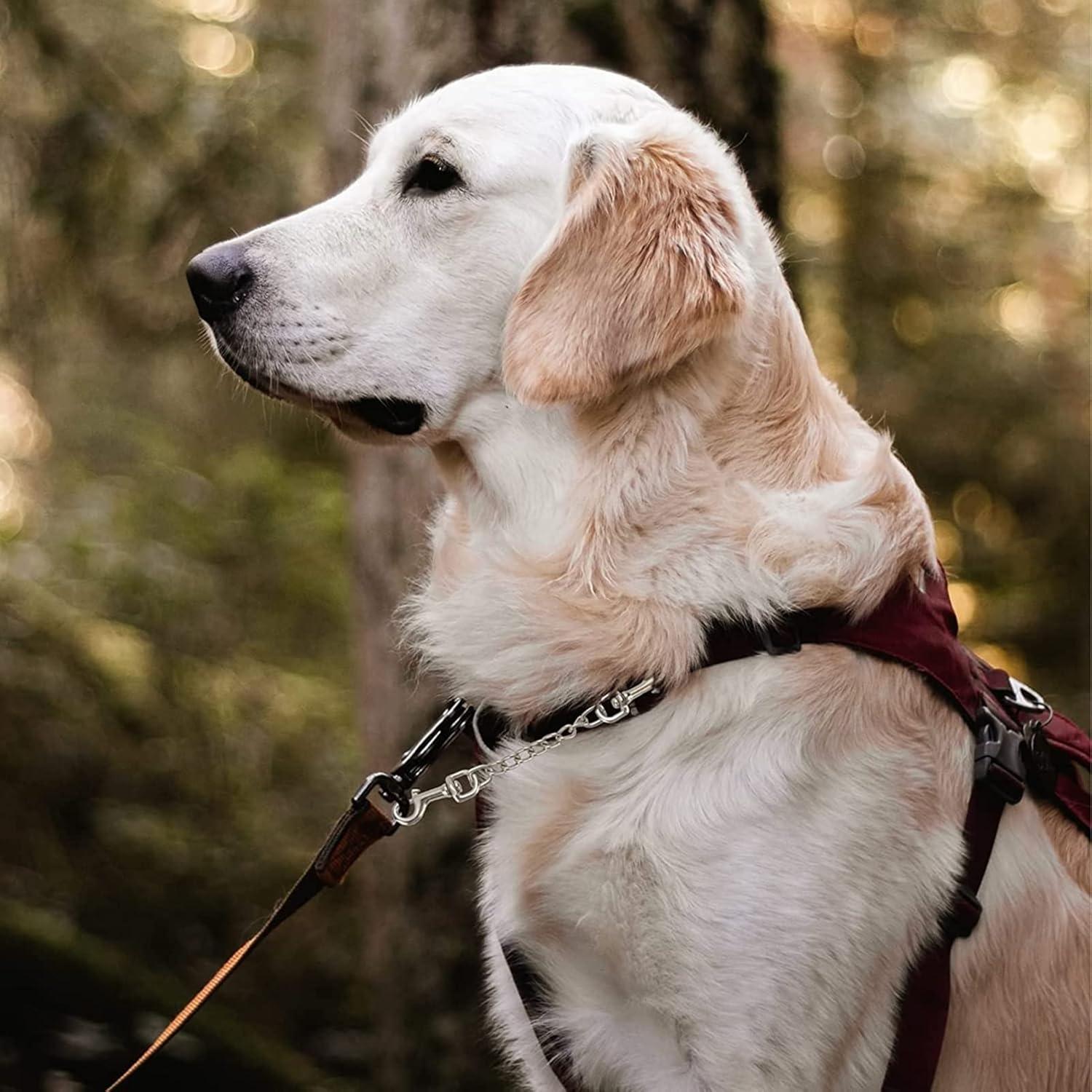 Clip de Seguridad para Collar de Perro DEYACE 20cm Negro