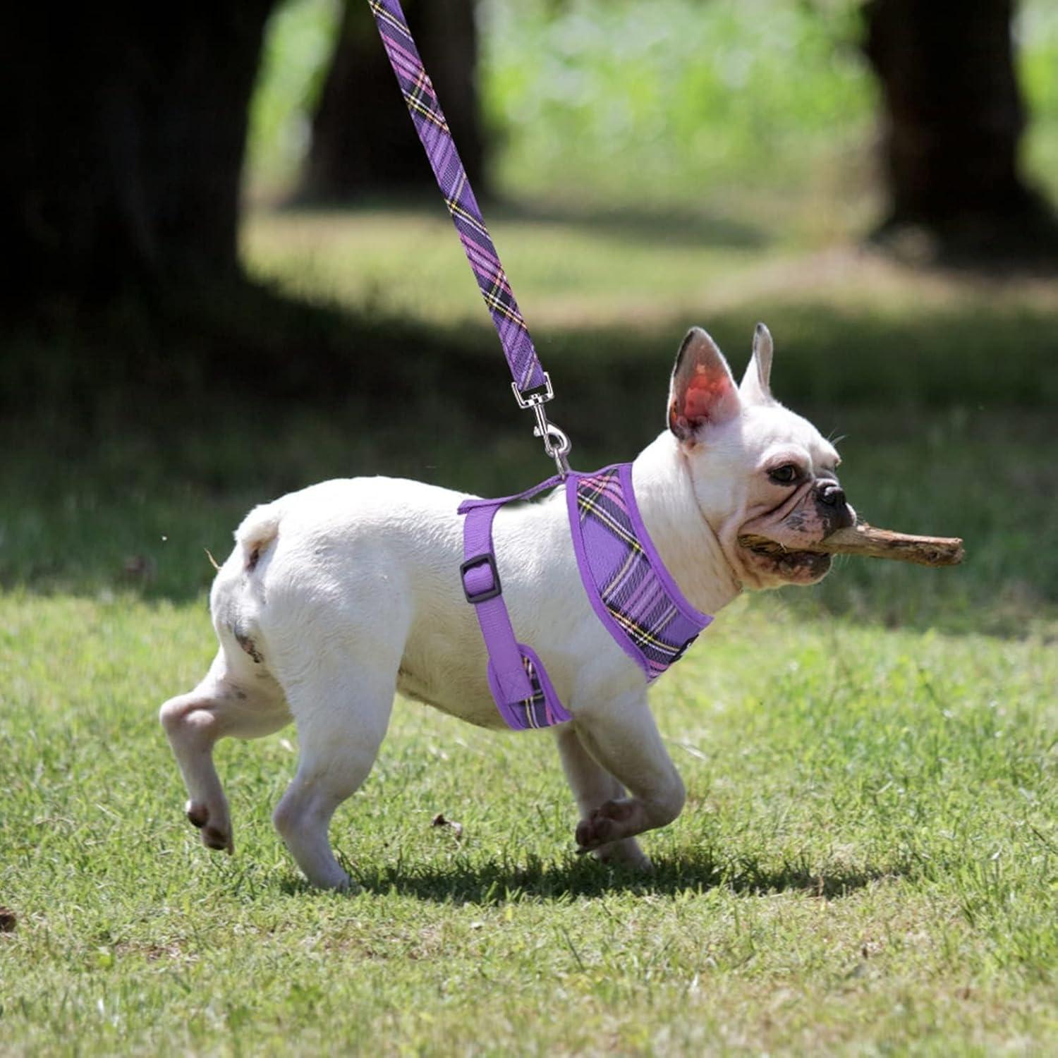 Arnés Suave PUPTECK para Perros y Gatos Talla M Púrpura