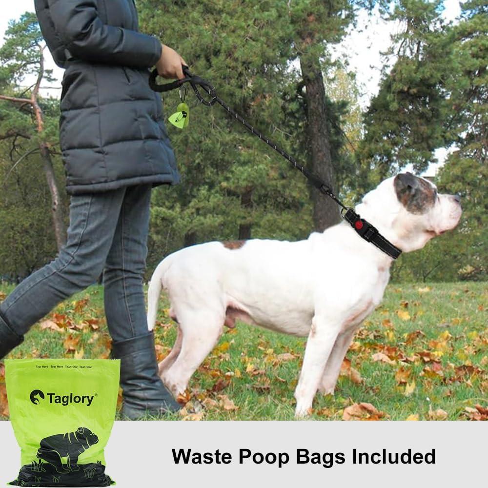 Correa para Perros Taglory 1.5m Reflectante con Mango Acolchado