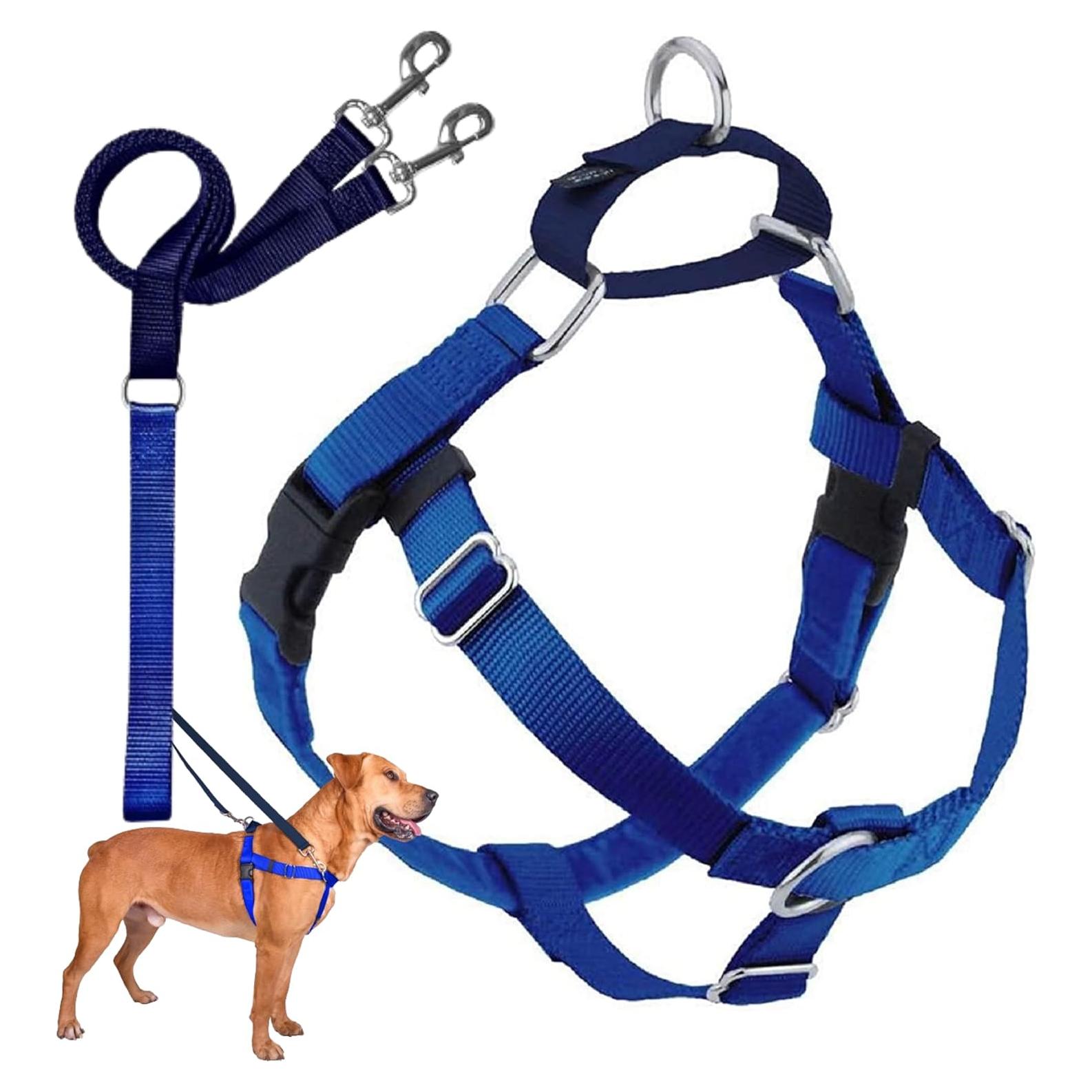 Arnés para Perros Sin Tirones 2 Hounds Design Azul Real LG
