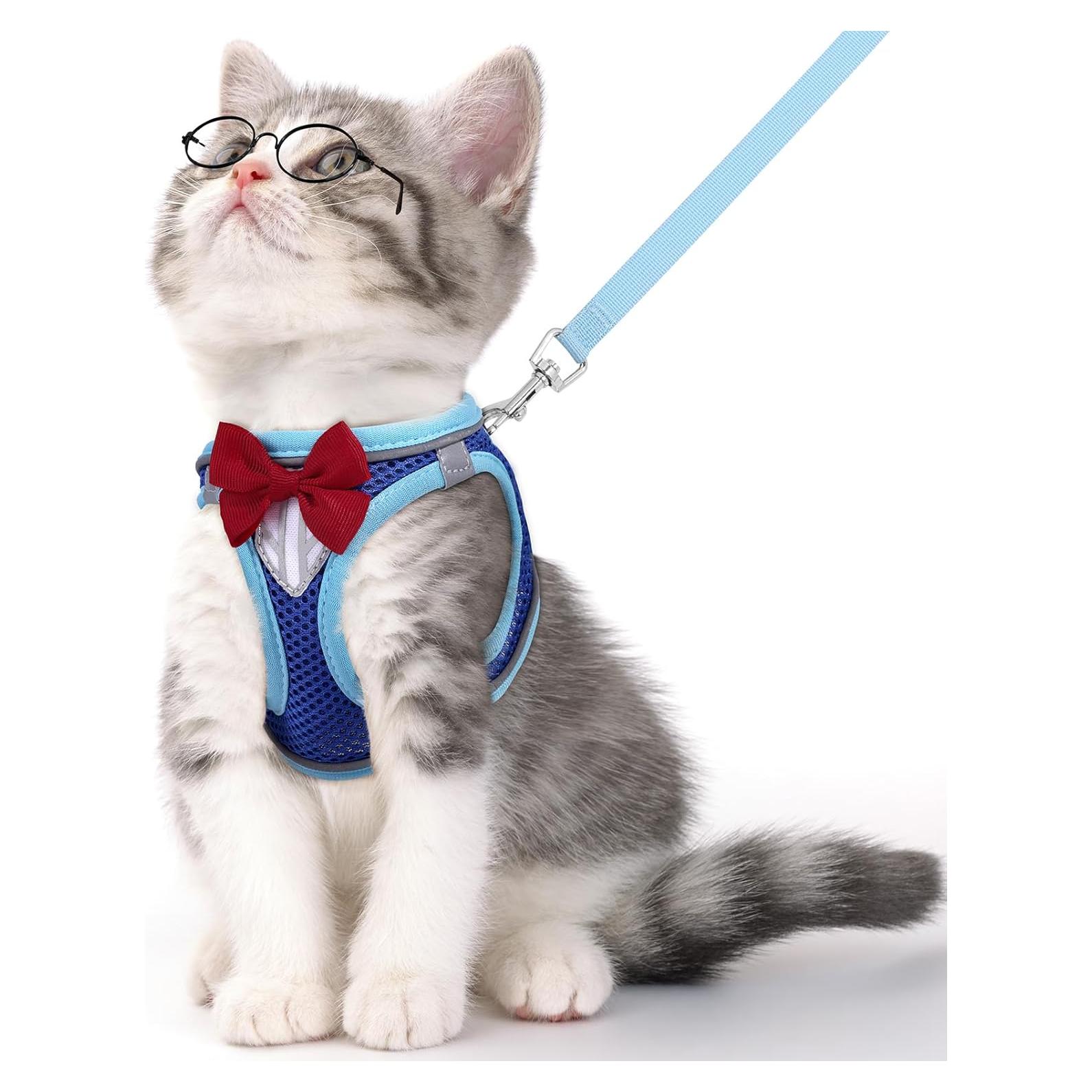 Arnés y Correa para Gato NCMAMA XS Azul Transpirable