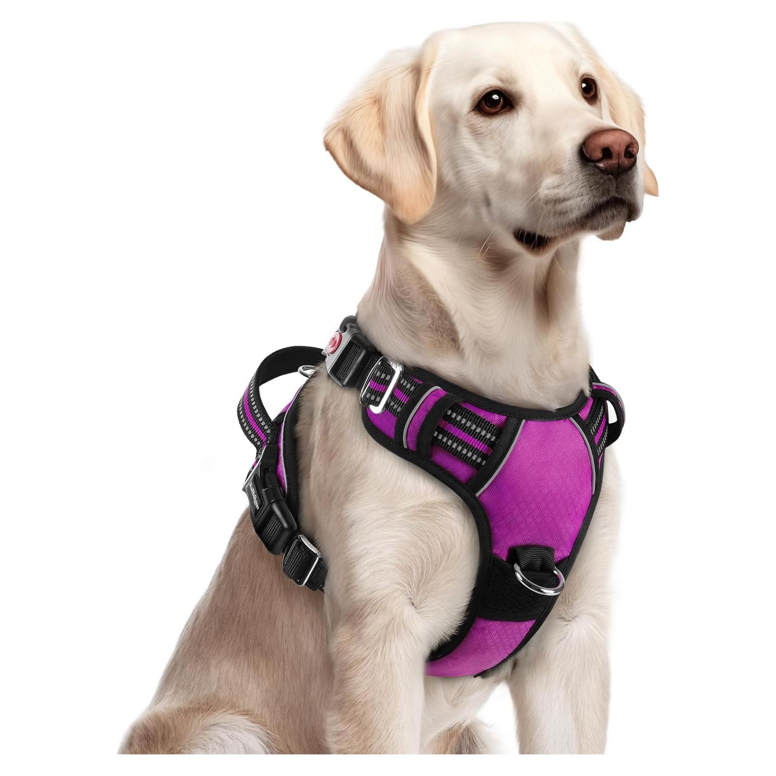 Arnés para Perros Rabbitgoo Grande Morado Ajustable y Acolchado