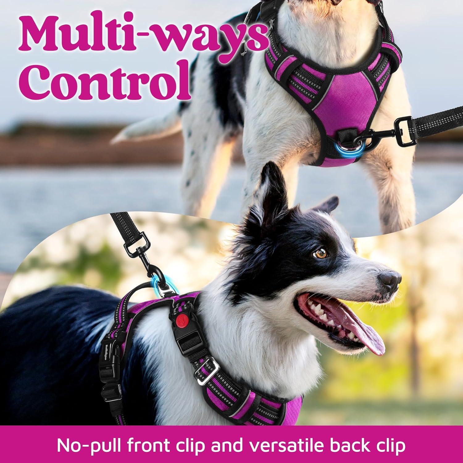 Arnés para Perros Rabbitgoo Grande Morado Ajustable y Acolchado