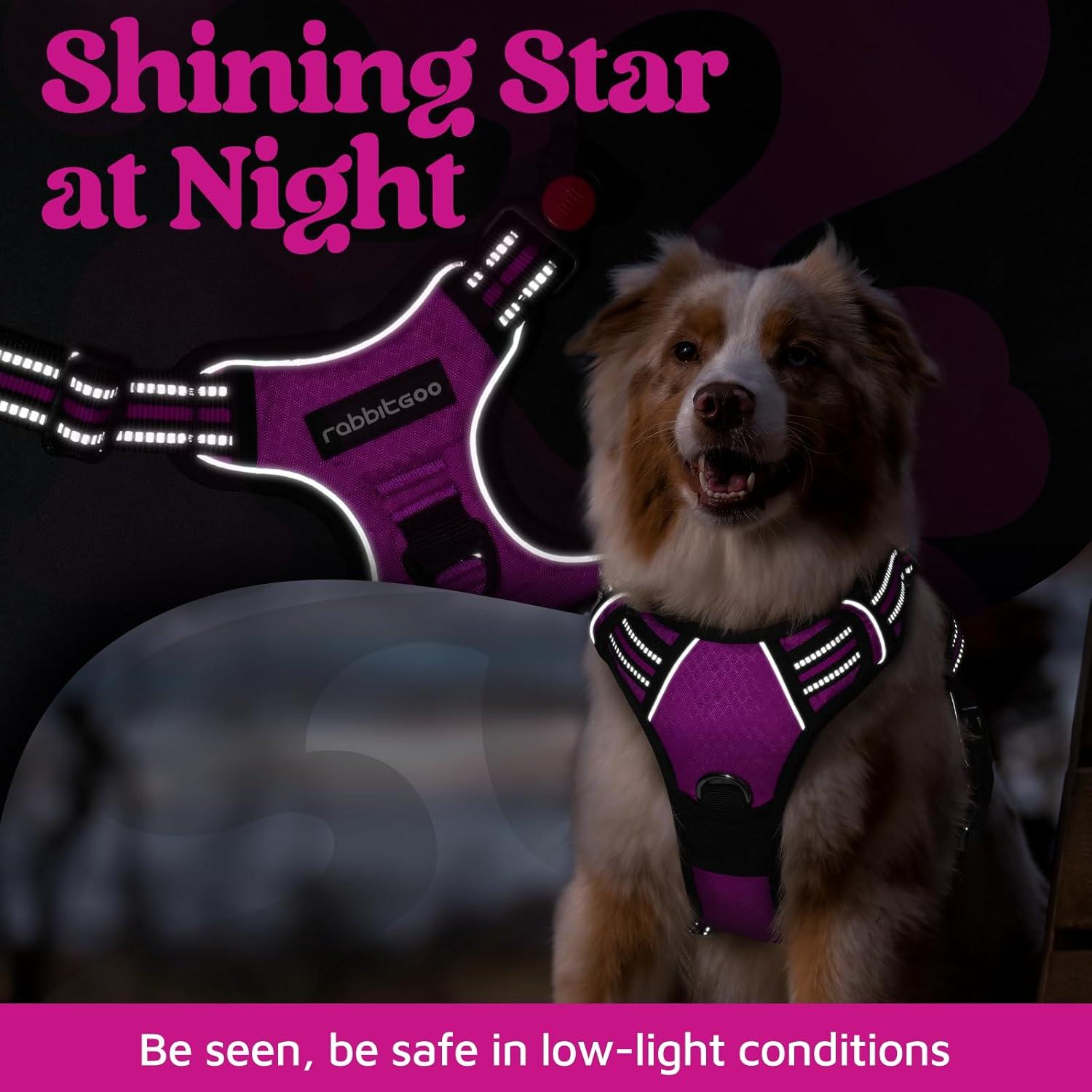 Arnés para Perros Rabbitgoo Grande Morado Ajustable y Acolchado