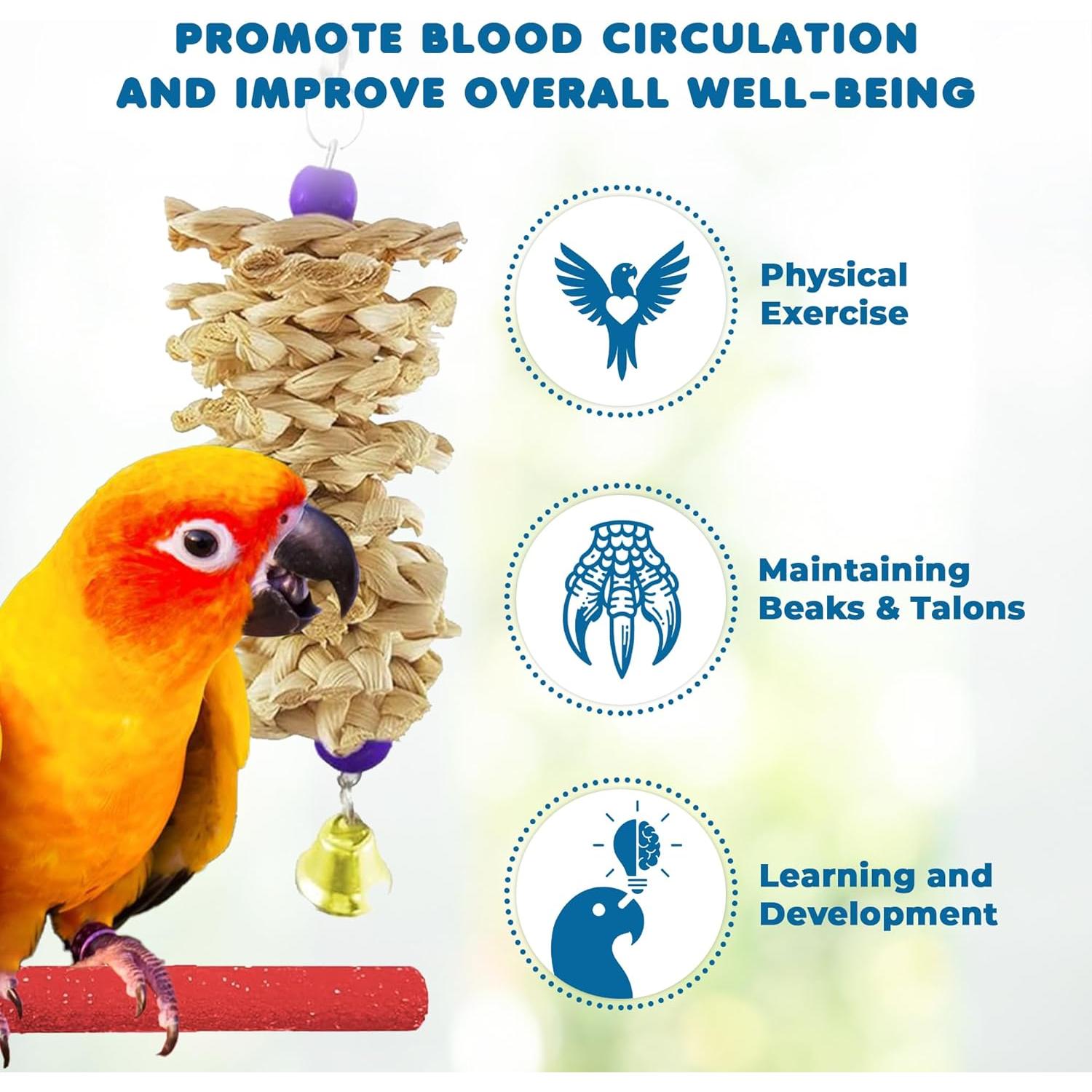 Paquete de 12 artículos para aves SunGrow - Columpios y perchas