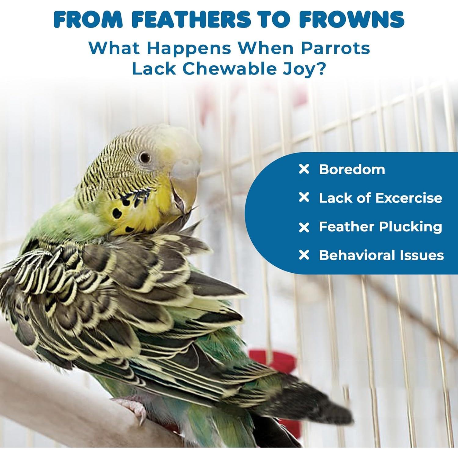 Paquete de 12 artículos para aves SunGrow - Columpios y perchas