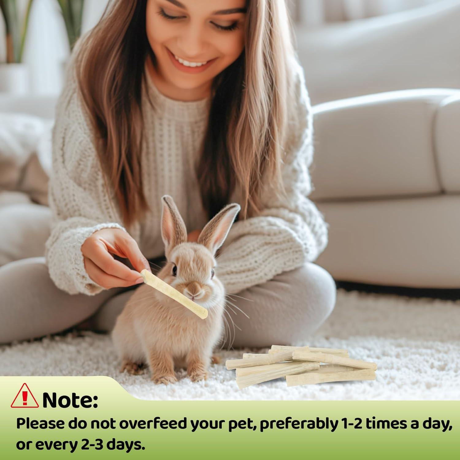 Palitos de Masticar Bambú Dulce 240g - Juguete para Conejos y Roedores