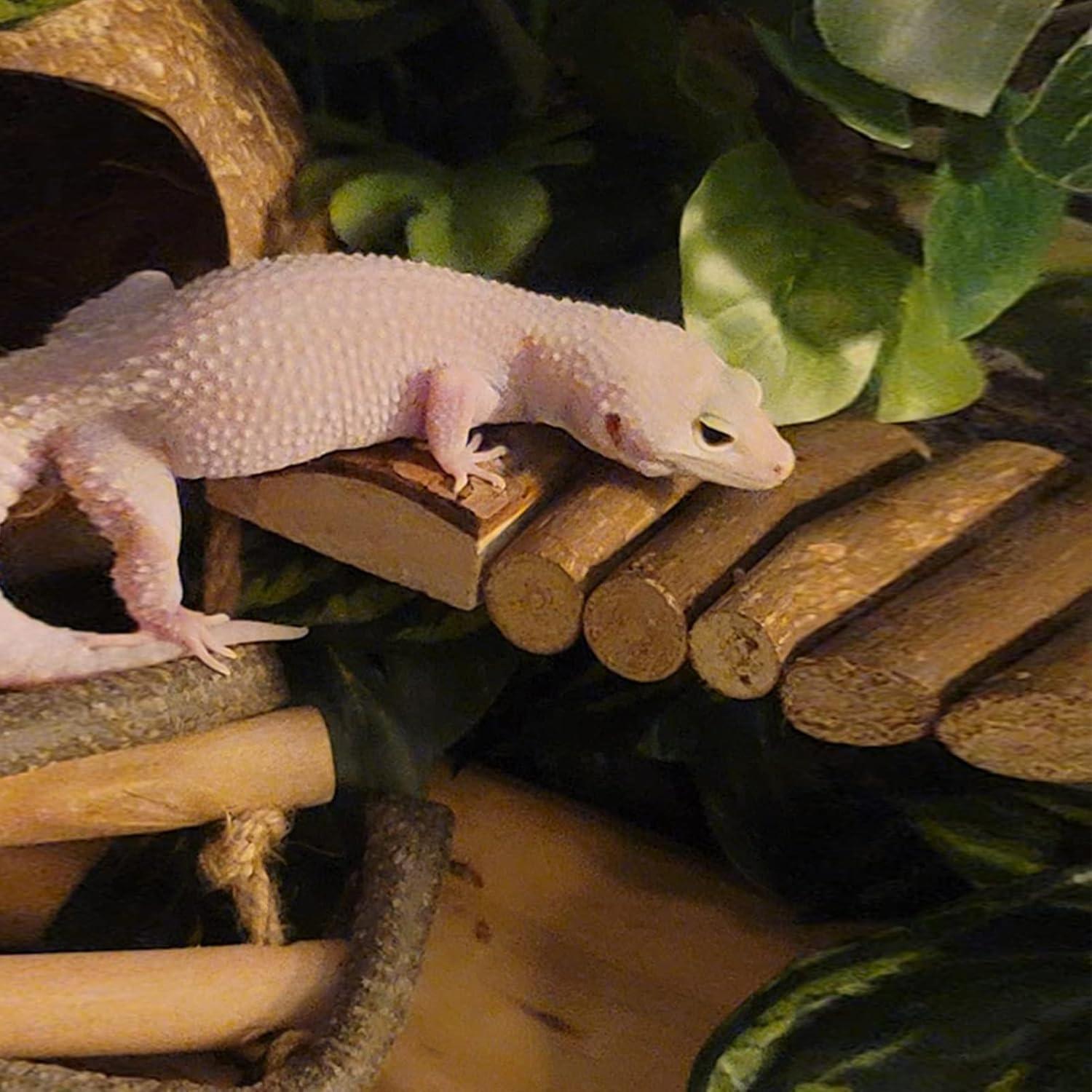 Puente de Escalera de Madera Natural para Hámster y Mascotas