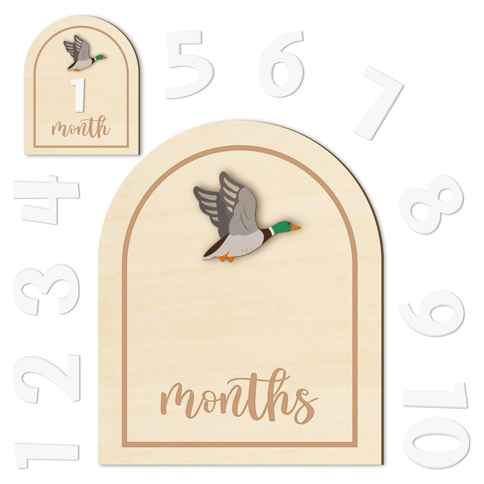 Tarjetas de Hitos Mensuales R HORSE 14 Piezas 3D Bebés