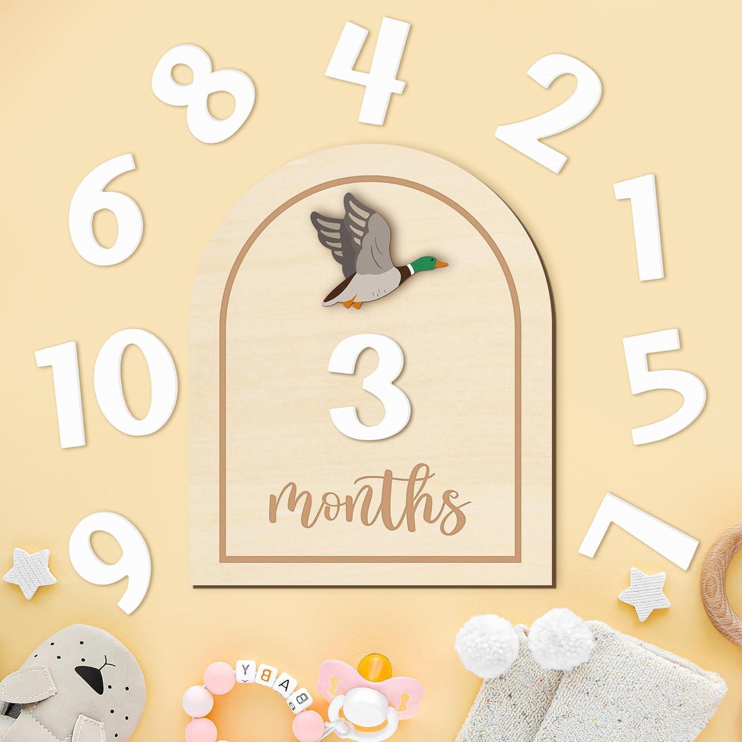 Tarjetas de Hitos Mensuales R HORSE 14 Piezas 3D Bebés