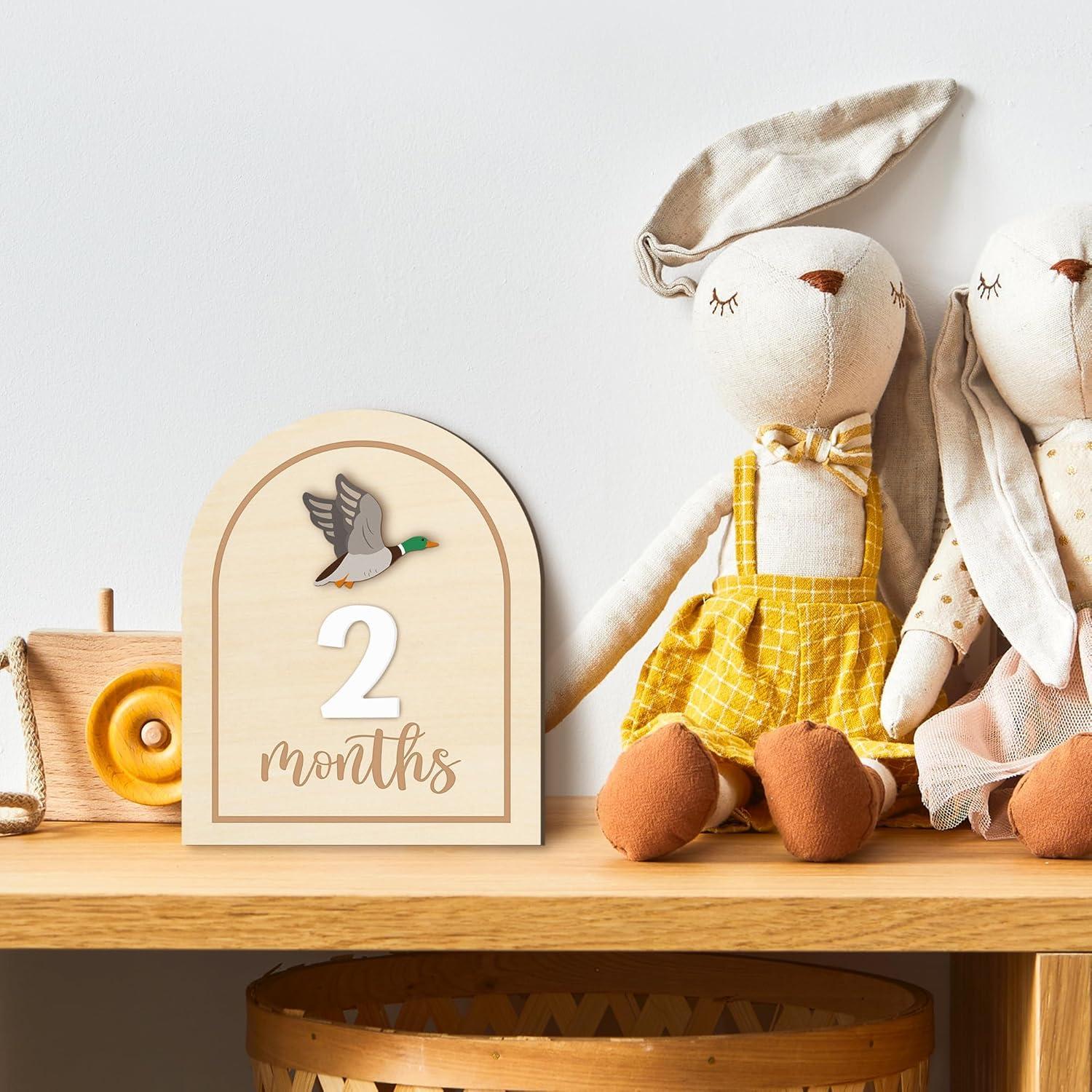 Tarjetas de Hitos Mensuales R HORSE 14 Piezas 3D Bebés