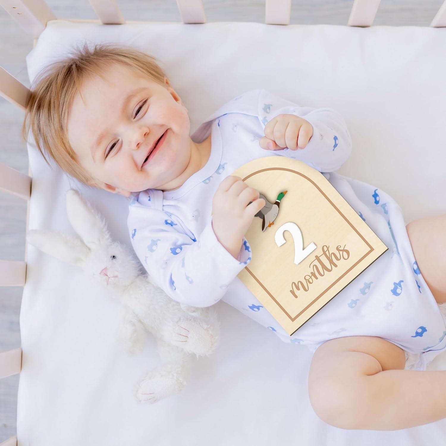 Tarjetas de Hitos Mensuales R HORSE 14 Piezas 3D Bebés