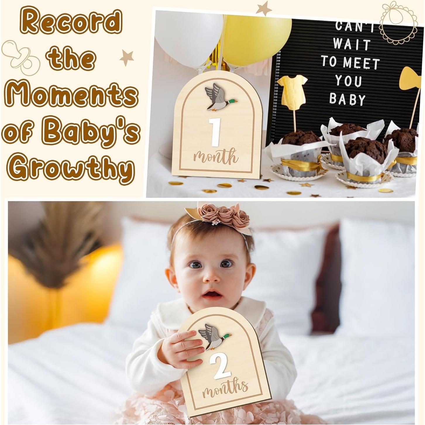 Tarjetas de Hitos Mensuales R HORSE 14 Piezas 3D Bebés