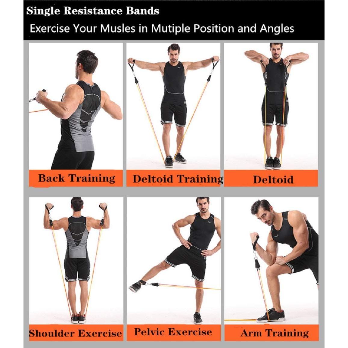 Bandas de Resistencia TOCO FREIDO con Ancla y Mangos - 5 Niveles