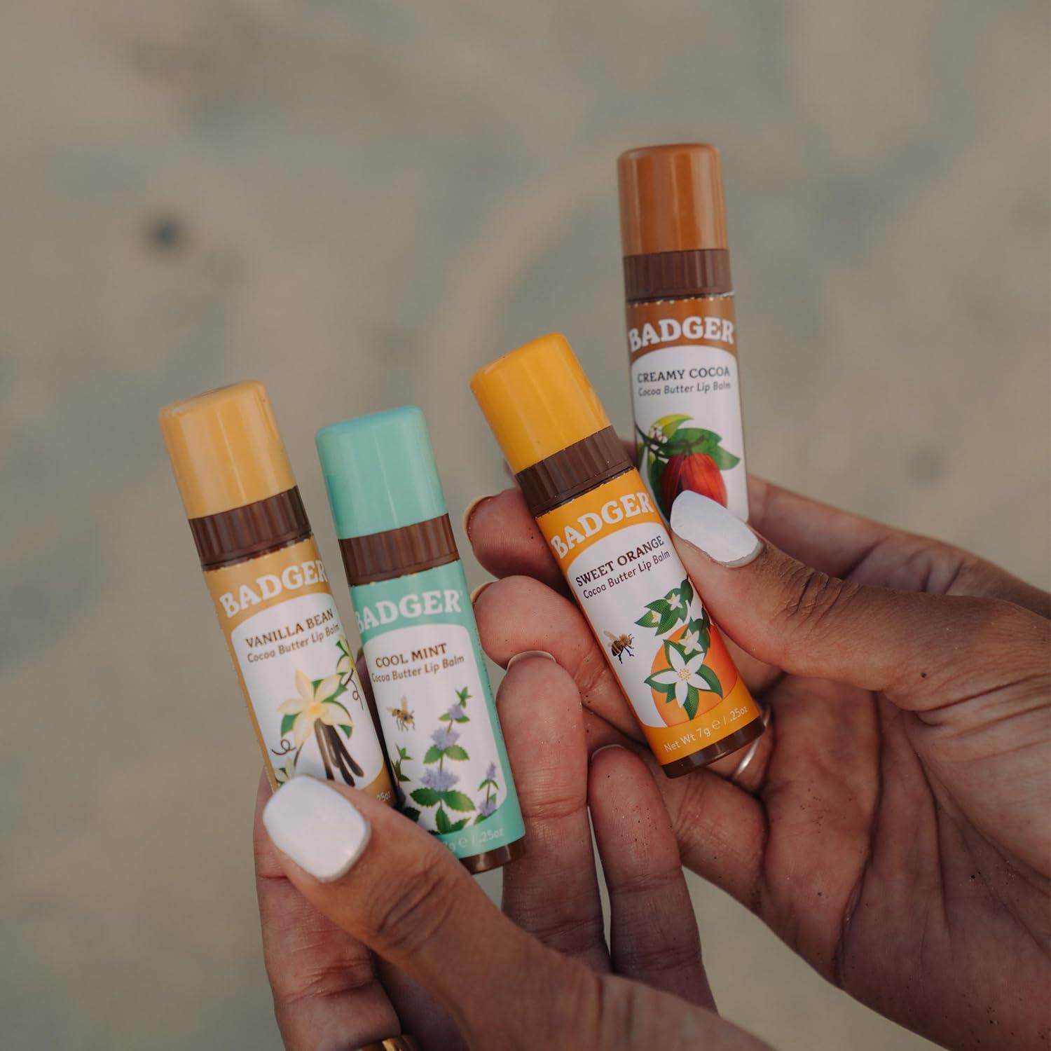 Set de bálsamos labiales orgánicos Badger 4 sabores 7g
