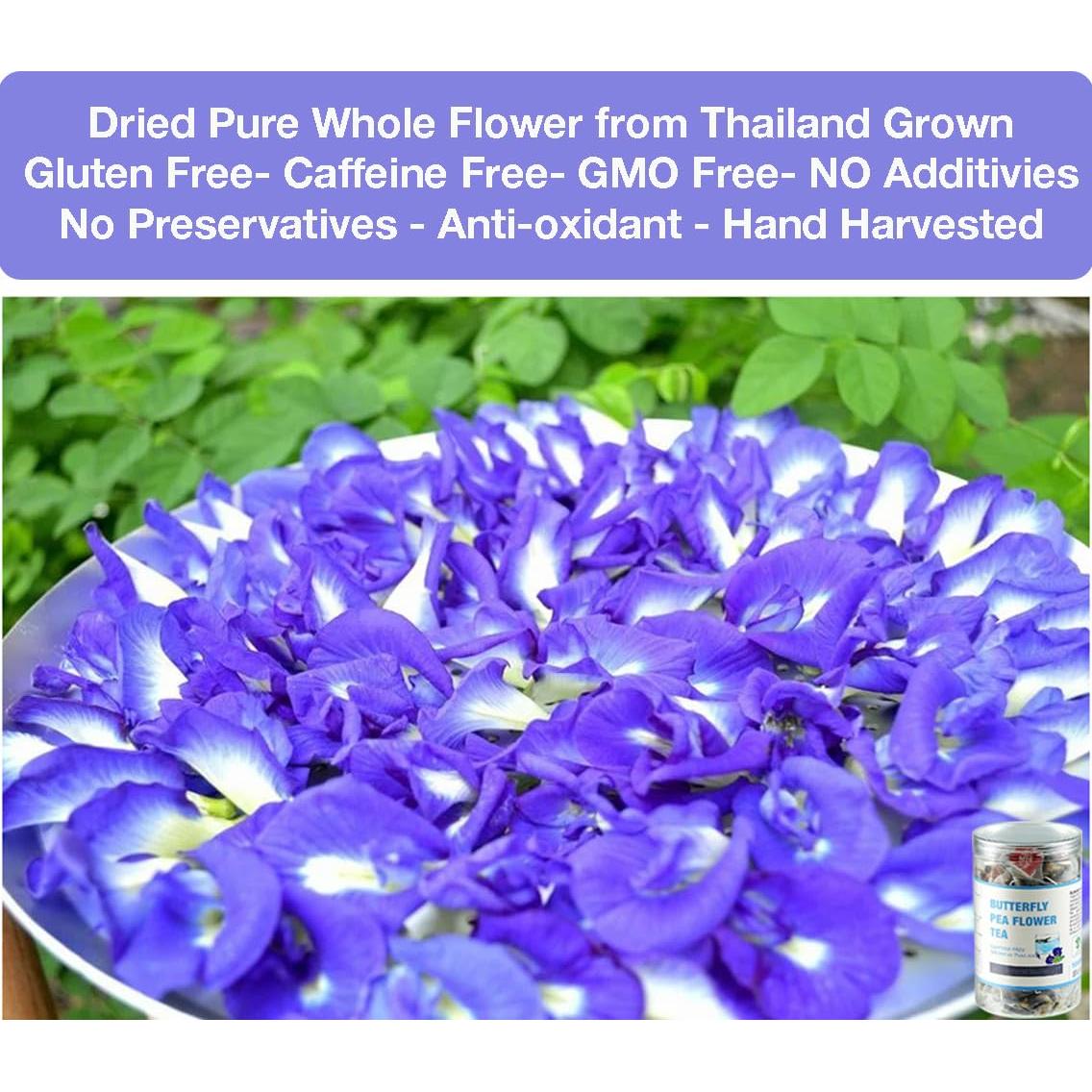 50 Bolsitas de Té de Flor de Mariposa Azul Secas - VitalForest