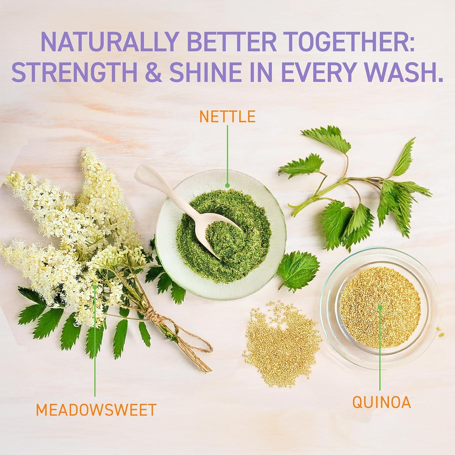 Champú y Acondicionador Herbal Fairy Tales para Cabello Graso 340g