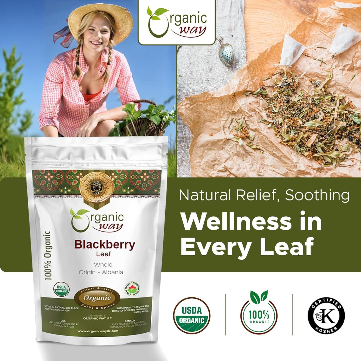 Hoja de Mora Seca Orgánica Entera 450g - Organic Way