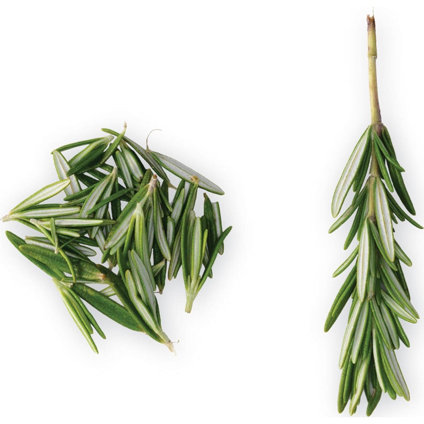 Despojador de Hierbas Chef'n Zipstrip - Rúcula/Aguacate, 40.8g