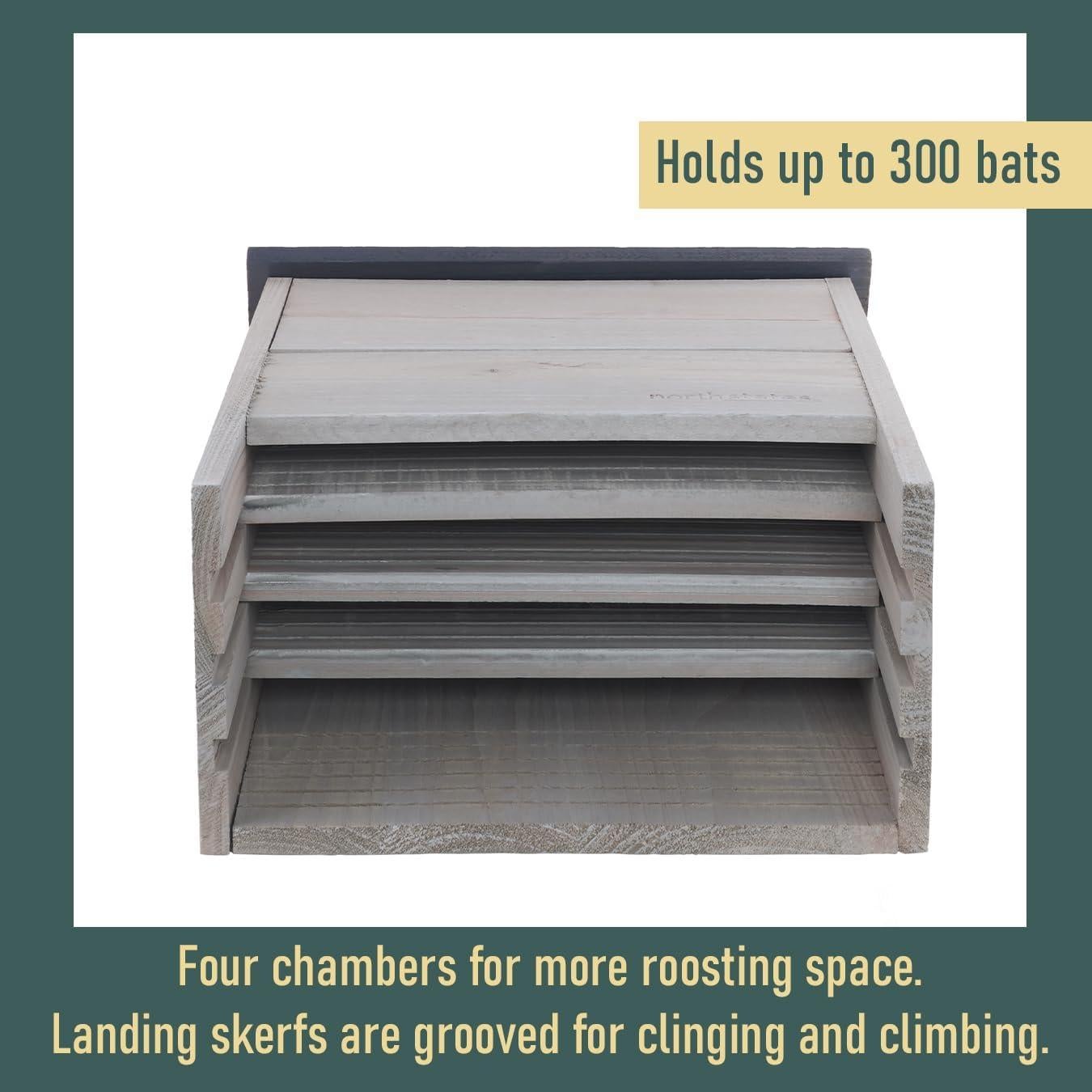 Casa de Murciélagos Grande North States 300 Murciélagos Gris