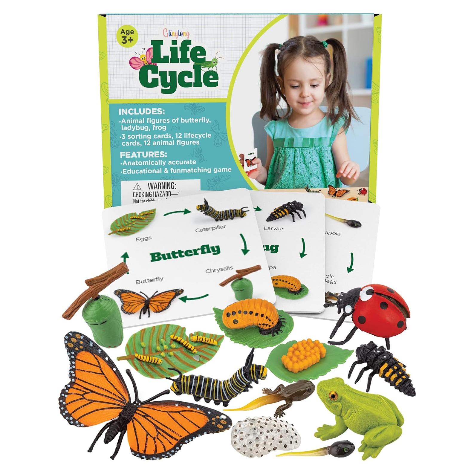Kit Ciclo de Vida Animal GLINGLONG 12 Piezas Juguete Educativo