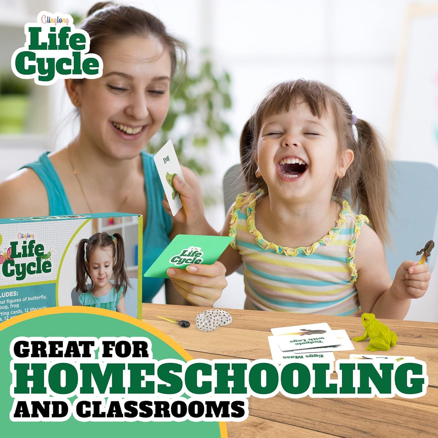 Kit Ciclo de Vida Animal GLINGLONG 12 Piezas Juguete Educativo