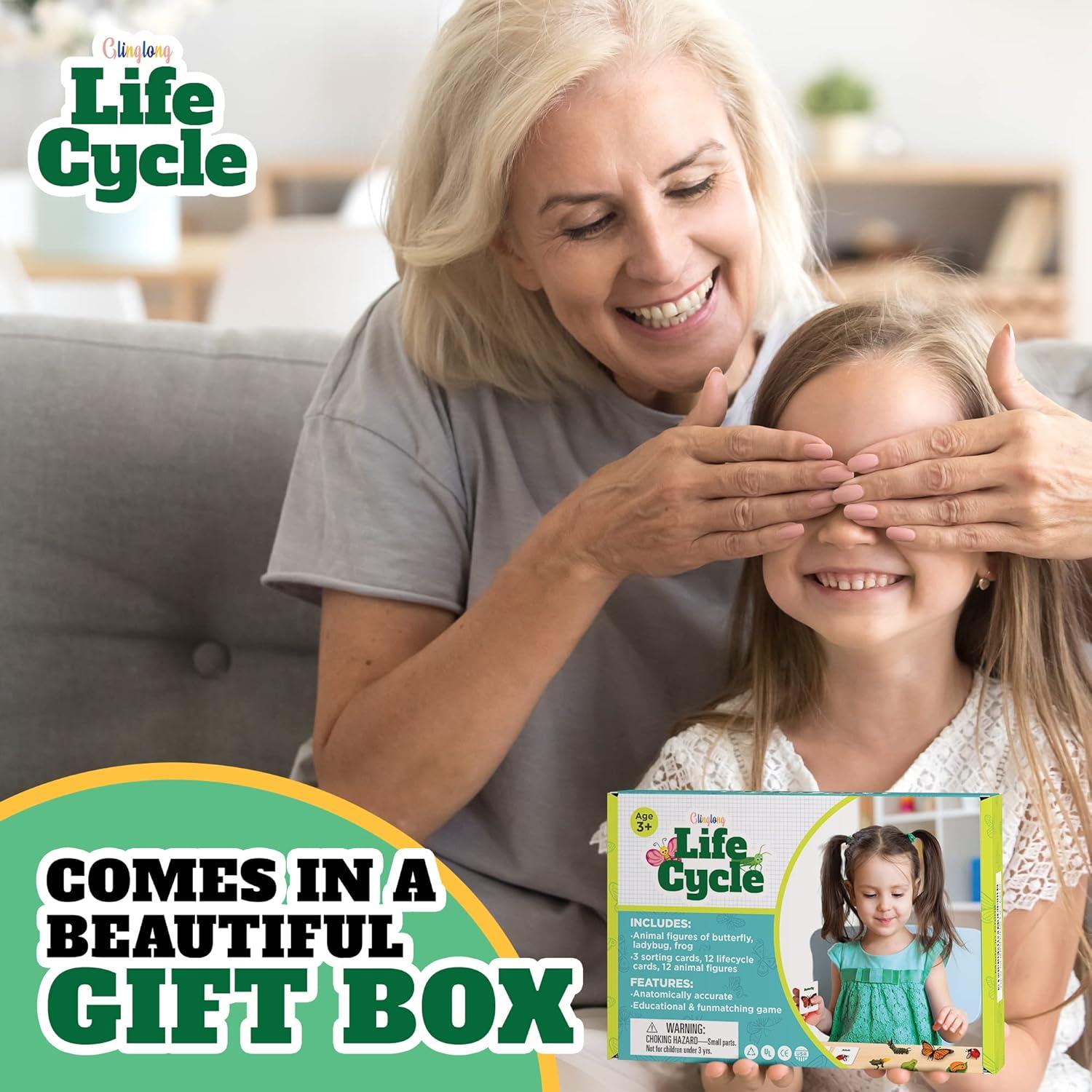 Kit Ciclo de Vida Animal GLINGLONG 12 Piezas Juguete Educativo