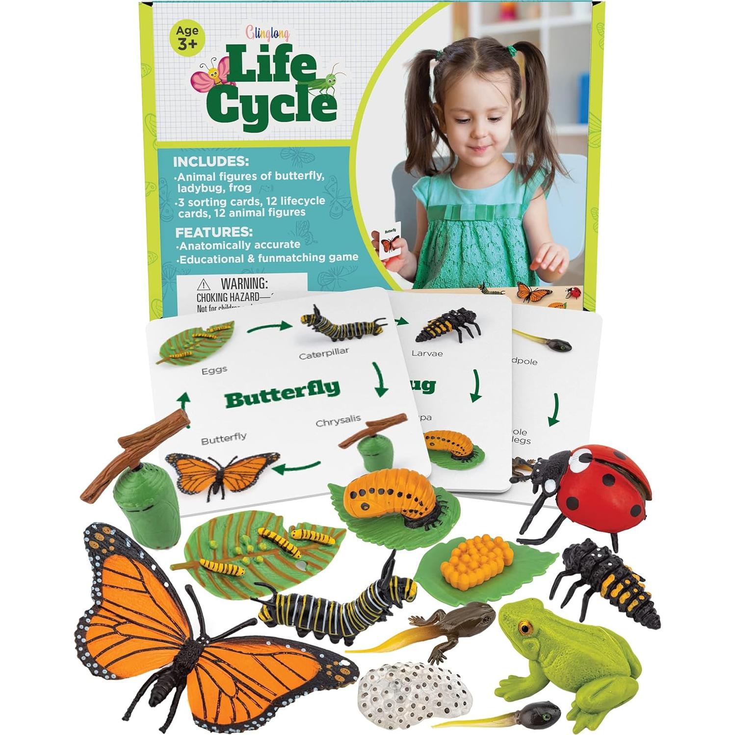 Kit Ciclo de Vida Animal GLINGLONG 12 Piezas Juguete Educativo