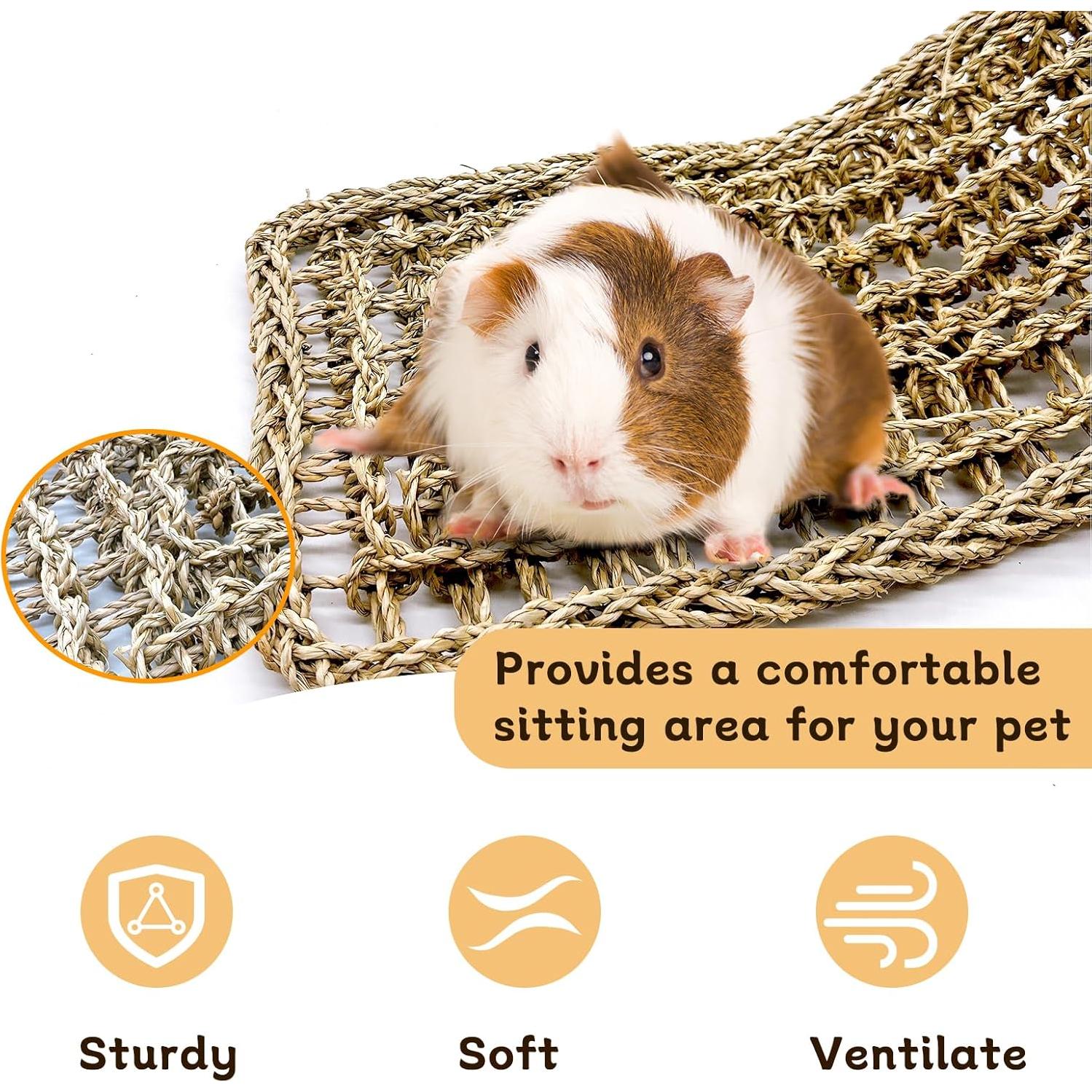 Alfombra de Hierba Marina Natural para Aves Hamiledyi 2Pcs 20.5x8cm