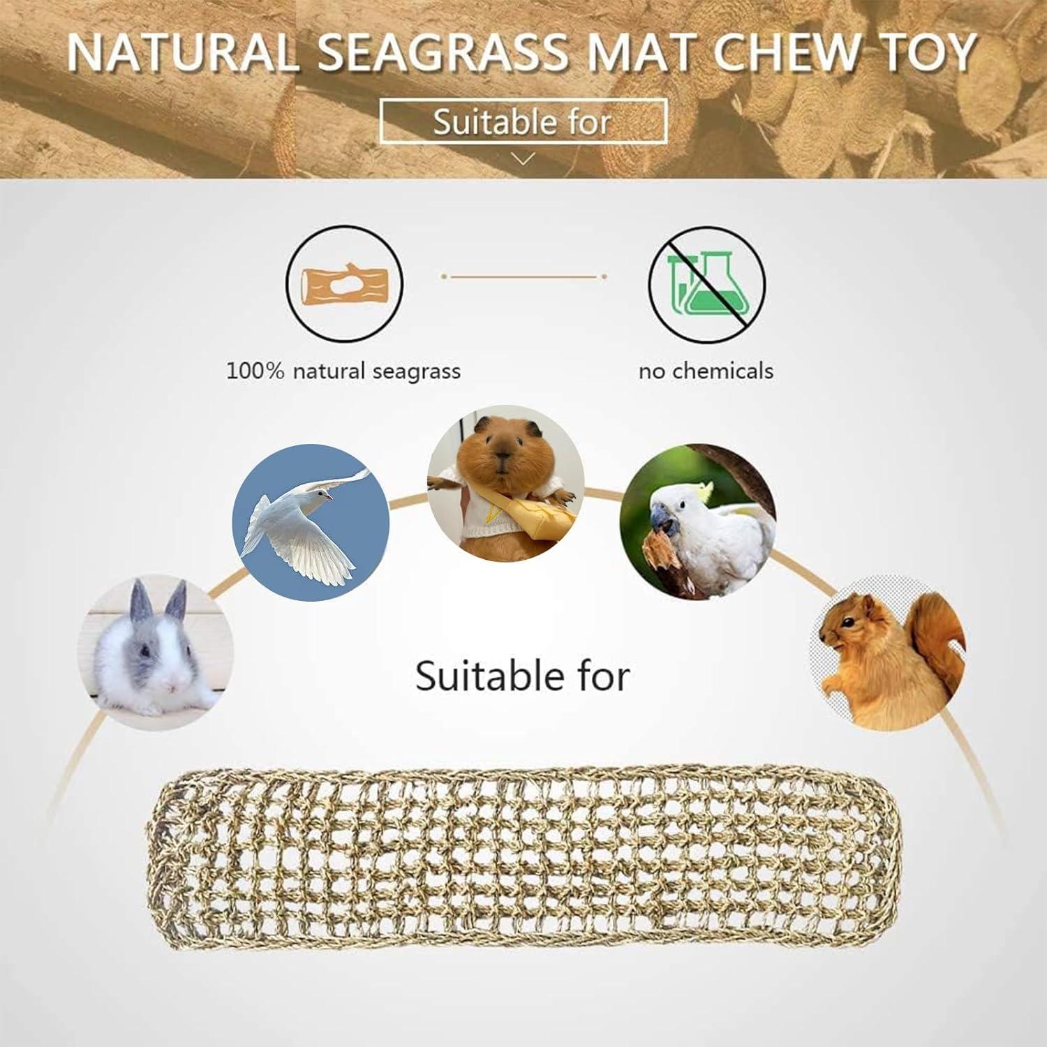 Alfombra de Hierba Marina Natural para Aves Hamiledyi 2Pcs 20.5x8cm