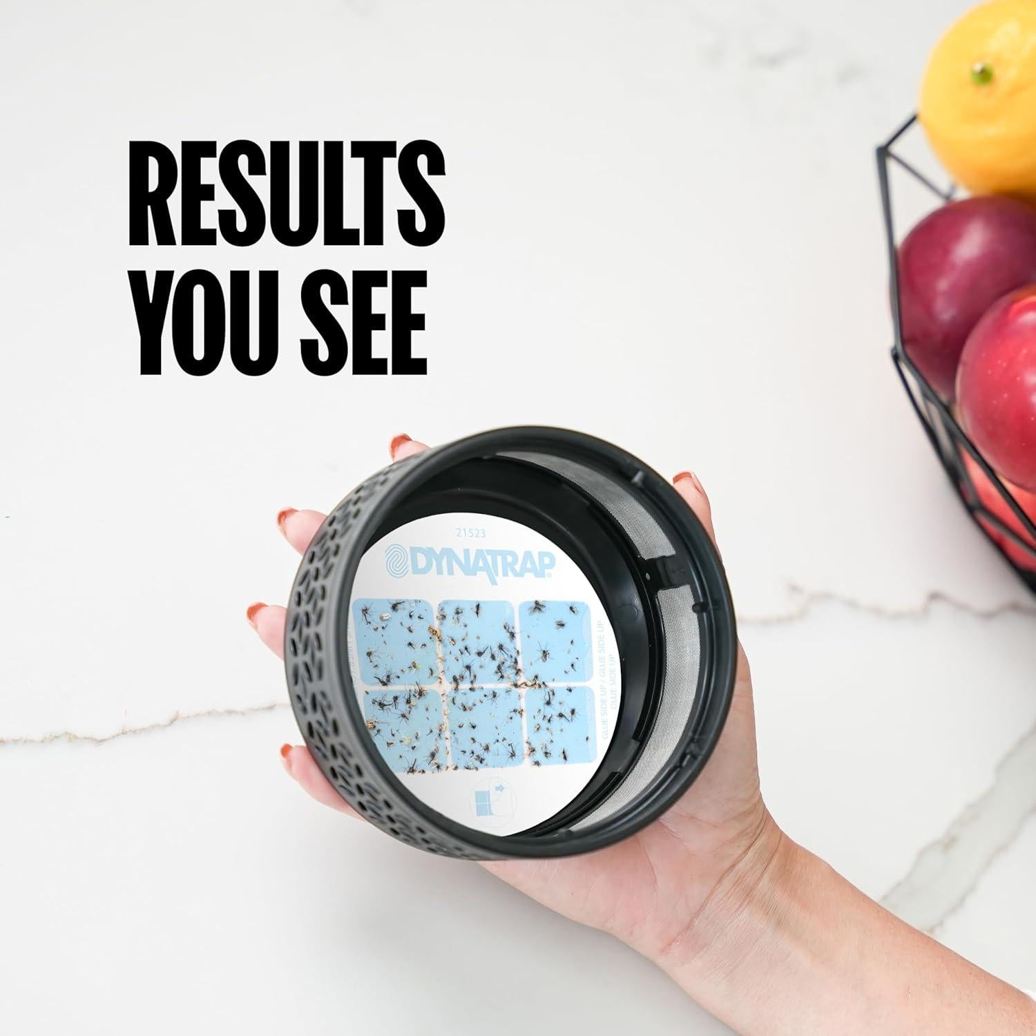 Trampa de Insectos DynaTrap DT152 - Interior, 1 Tarjeta de Pegamento