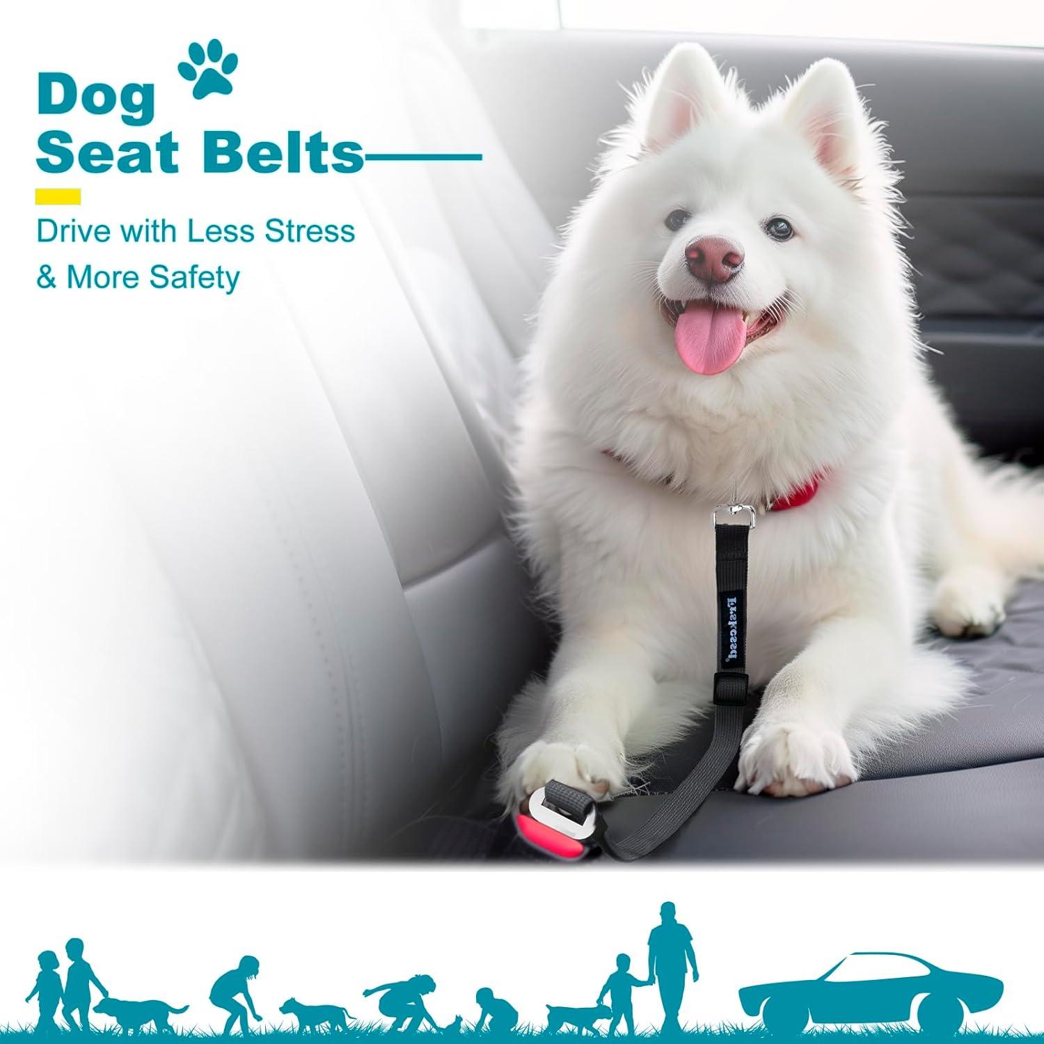 Cinturón de Seguridad para Perros Frskcssd Negro Ajustable