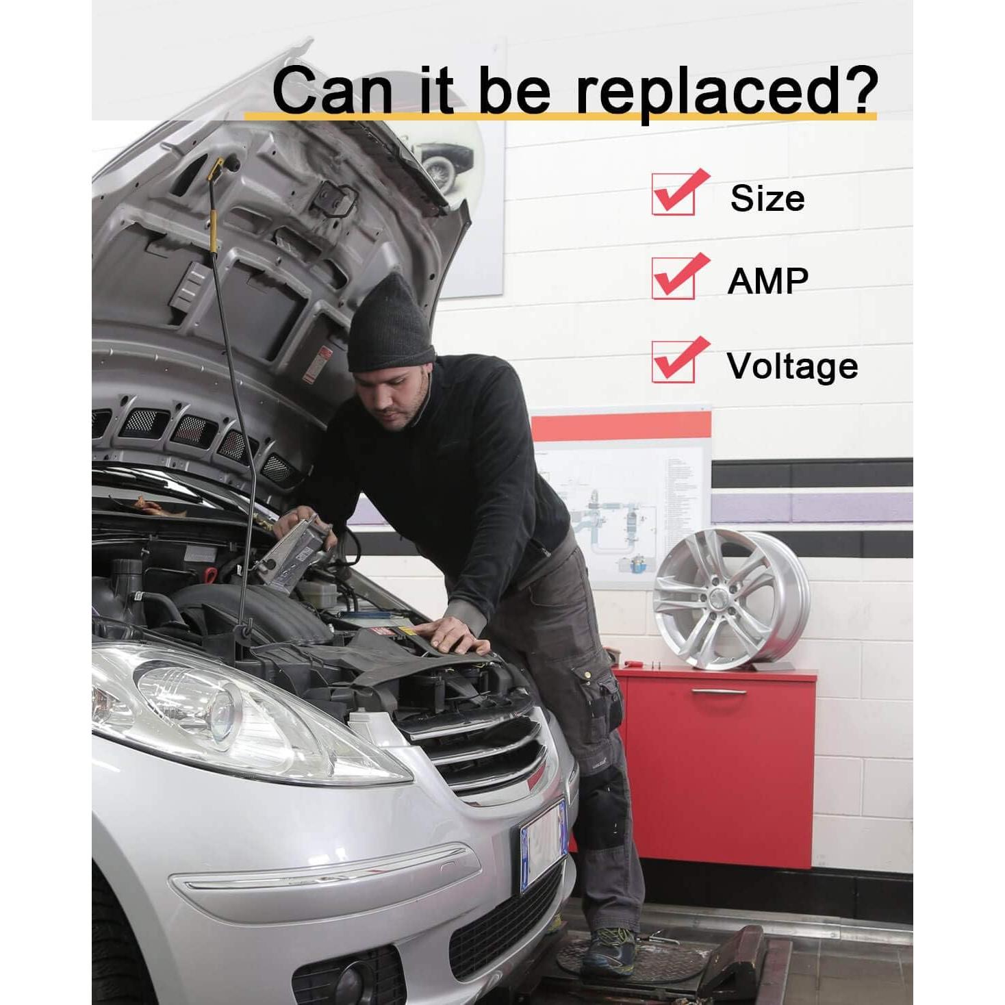 Fusibles Estándar 2A Riseuvo para Automóviles - 20pcs 32V