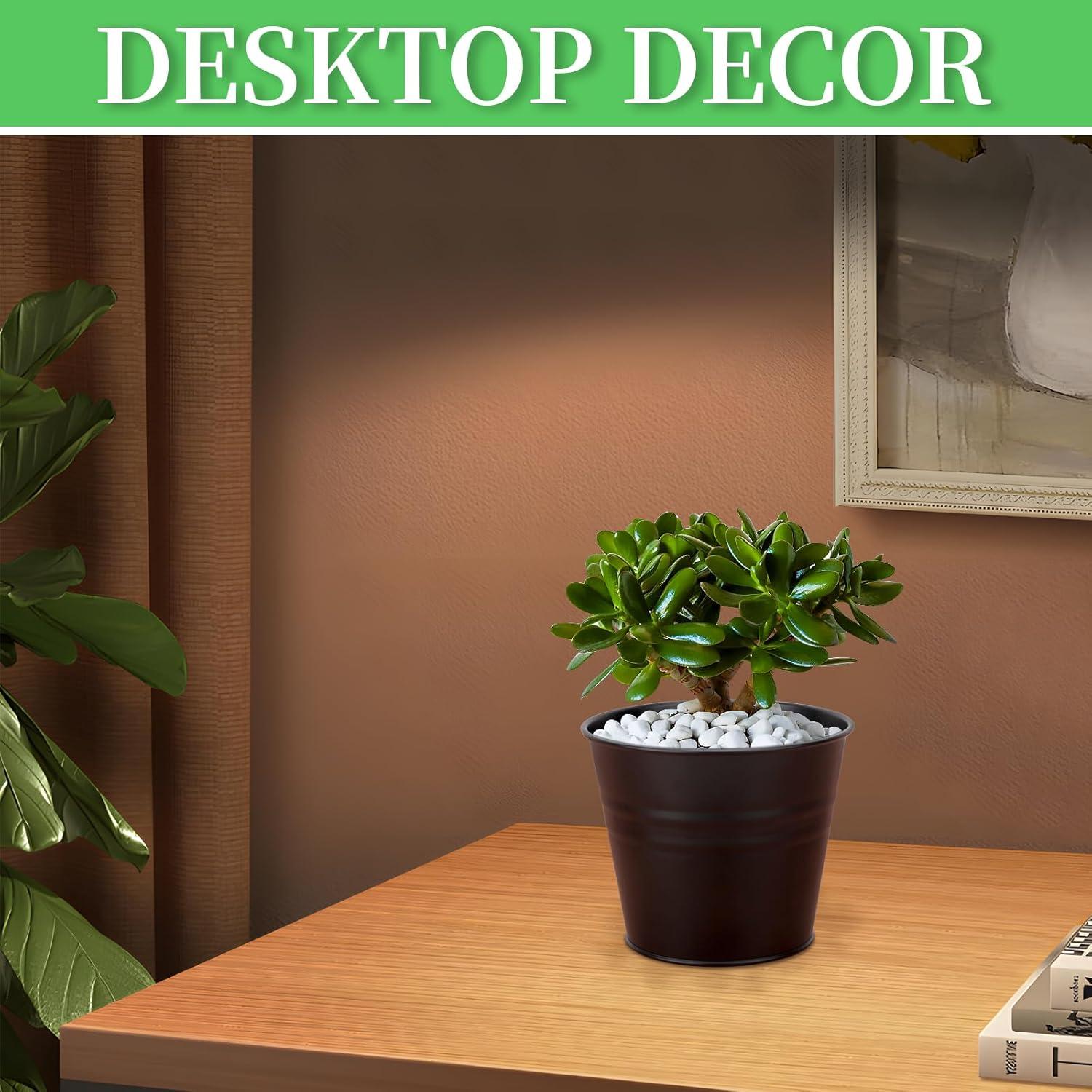 Macetas Colgantes GREANER 10 Piezas Metal Negro Drenaje