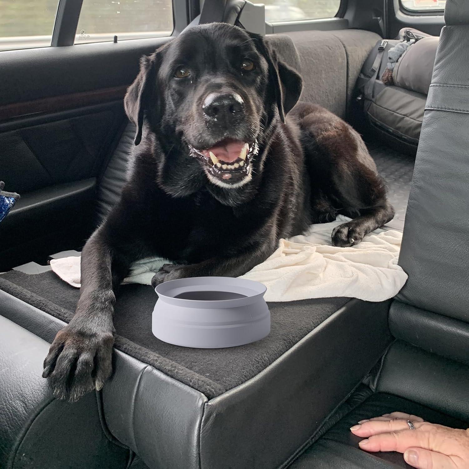 Tazón de Agua Plegable SLSON para Perros 20 oz Gris